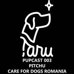 ȚARU PUPCAST 003 - Pitchu [Care for Dogs Romania]