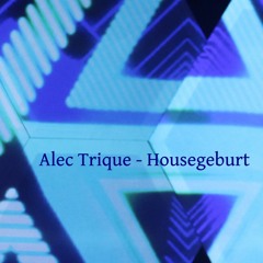 (10 - 2023) Alec Trique - Housegeburt