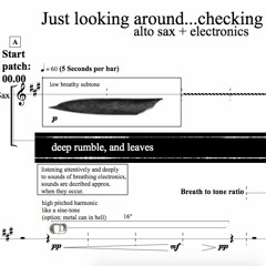 Just looking around...checking out the water (2019) for alto sax + electronics