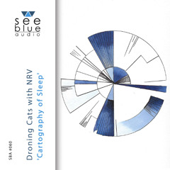 'Cartography of Sleep' (preview) – Droning Cats with NRV (See Blue Audio SBA #060)