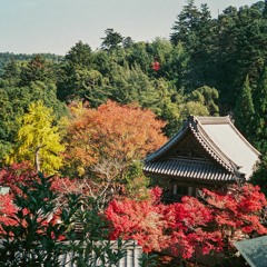 Autumn Wind