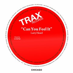 Can You Feel It (Robert Owens Mix)
