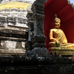 The Enlightenment-factors Protection