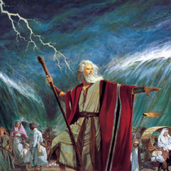 MOSES