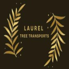 Nassau Bahamas Transportation Services