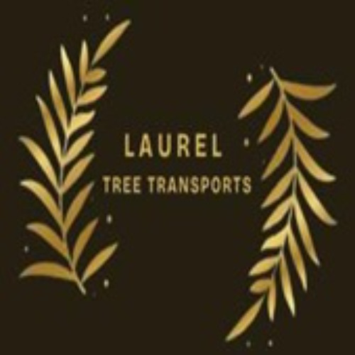 Nassau Bahamas Transportation Services