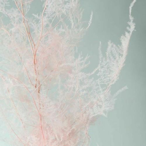 Stream Shaman-Лед by _v_.a.l.e.r.i.a | Listen online for free on SoundCloud