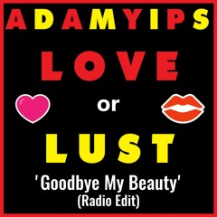 Adam Yips - Goodbye My Beauty (Radio Edit)