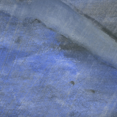 Deutzia gracilis (naviarhaiku621)