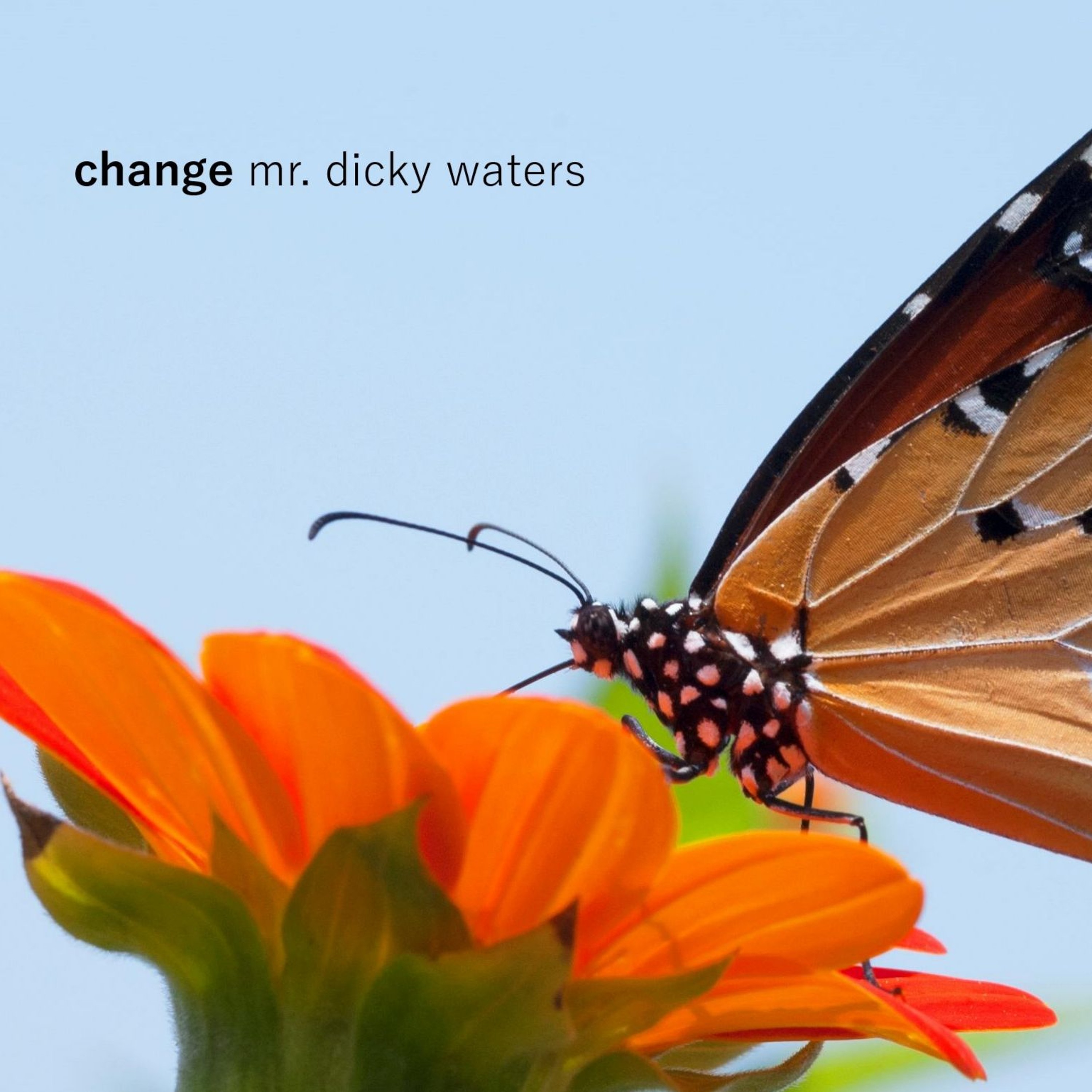 Change {demo} episode artwork