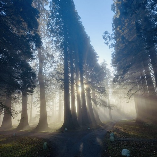 Damien Unbroken- November '22 Mix