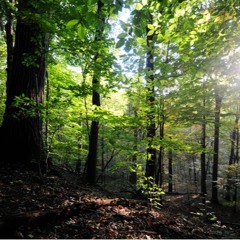 Unfamiliar (Unmastered)