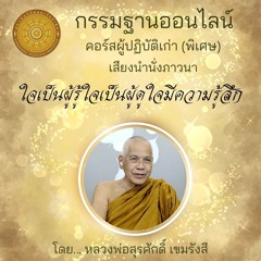 ใจเป็นผู้รู้ใจเป็นผู้ดูใจมีความรู้สึก 005