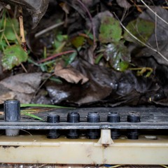 Bogdan Tiutiu - Frumusetea Ta E Dragostea Din Mine