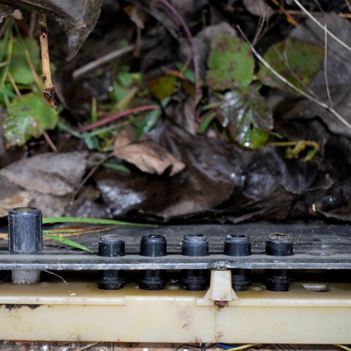 Bogdan Tiutiu - Frumusetea Ta E Dragostea Din Mine