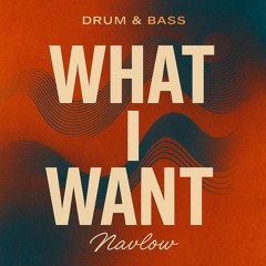 What i Want