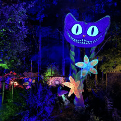 Deep Forest Festival 2024