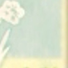 Bloom ‎ ‎ ‎ ‎ ‎ ‎