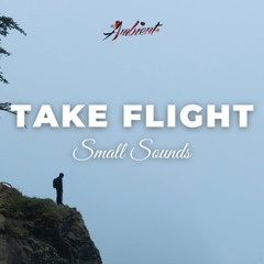 Small Sounds - Take Flight (Norfoast Rework)