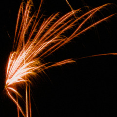 Bloom World 8 11-11-2025