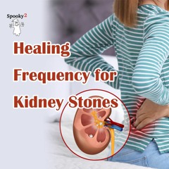 Healing Frequency for Kidney Stones- Spooky2 Rife Frequency Healing