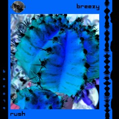 Breezy - Rush (Original Mix)