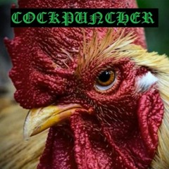 Cockpuncher