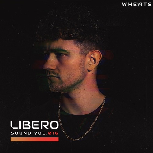 Libero Sound Vol.16 - Wheats