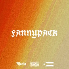Fannypack