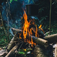 Fullmoon #3 - Fire in the Jungle
