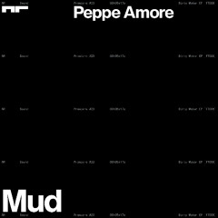 Premiere: Peppe Amore - Mud [FT006]