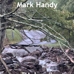 Mark Handy - Helene