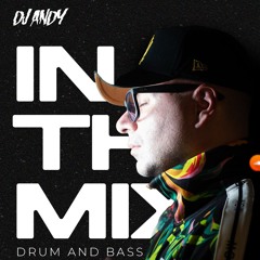 DJ ANDY - IN THE MIX SERIES VOL 4