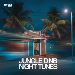 Jungle Dnb Night Tunes