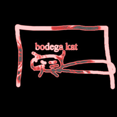 sam divine - i want you (bodega kat bootleg edit)