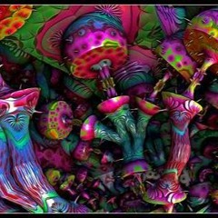 DRUMS