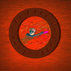 PARA11E1_: 11e1 ver. 3