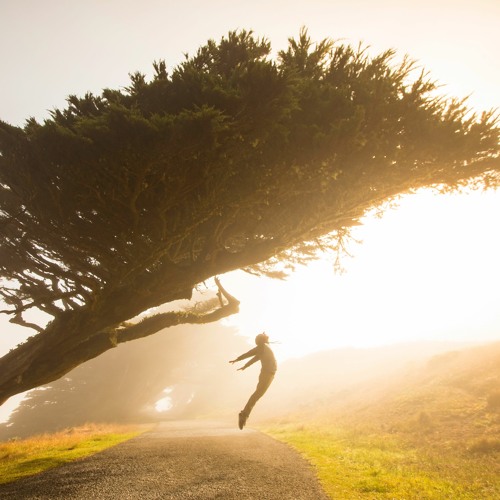 Summertime! Fernhill Park Ecstatic Dance