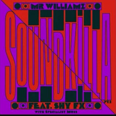 sound killa shy fx pt2