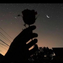 💕💕💕💕💕