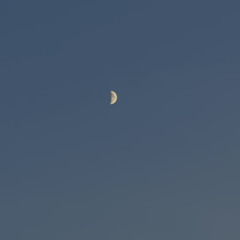 sufjan stevens, caribou - video game x never come back