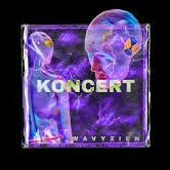 XL X WAVYZIEN - KONCERT