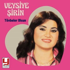 Biri Anam Biri Yarim