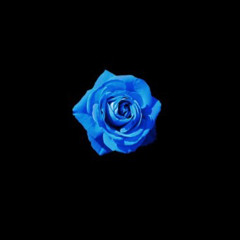 파란 장미 (prod.Noria)(feat.가혁)