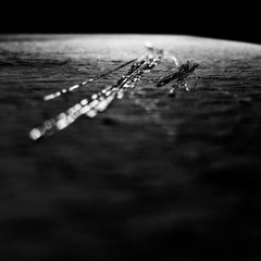 Granular(A) (Extended Edition, 2021)