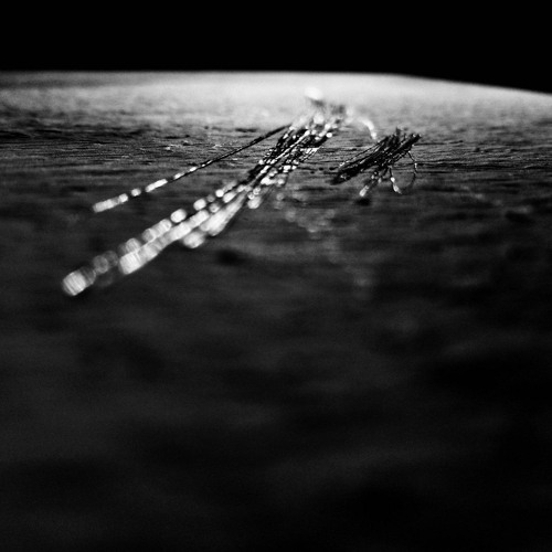 Granular(A) (Extended Edition, 2021)