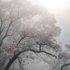 qua nhieu lan - Cozxr (nháp)