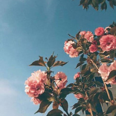 Pantasya - burn's.mp3