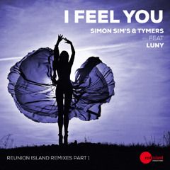 Simon Sim's & Tymers feat Luny - I Feel You (Flow Di Long Play)
