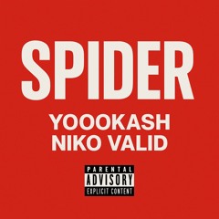 Spider